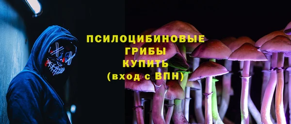 MESCALINE Горно-Алтайск