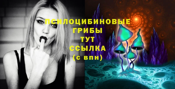 меф Горняк