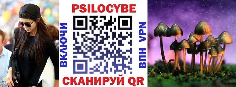 Псилоцибиновые грибы прущие грибы  где можно купить наркотик  гидра онион  Стерлитамак 